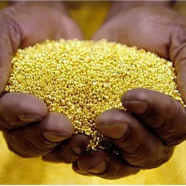 Manos sosteniendo mineral de oro granulado